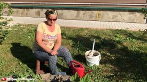 Чем удобрять кабачки
