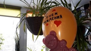 ЖЕЛЕЙНЫЙ МЕДВЕДЬ ЛЕРА ЛУЧШЕЕ ЧАСТЬ 1. ЖЕЛЕРКА ОТВЕЧАЕТ НА КОММЕНТАРИИ.