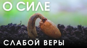 О СИЛЕ МАЛЕНЬКОЙ ВЕРЫ