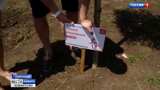 Семейный пикник в 