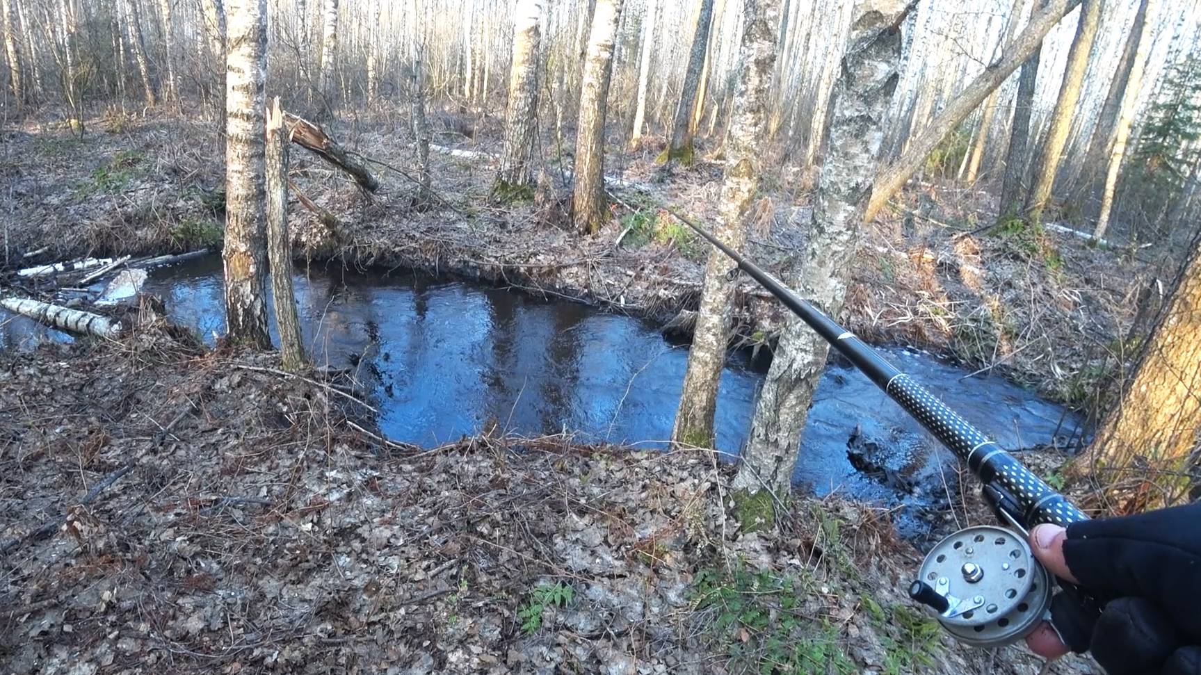 ГЛУБИНА 30СМ, МЕТРОВЫЙ РУЧЕЙ РАЗДАЁТ. Рыбалка на поплавок и боковой смотреть онлайн