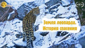 "Земля леопарда. История спасения" (2025)
