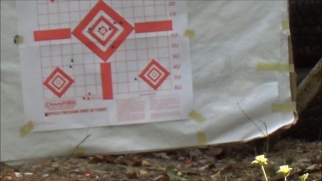 Ruger MINI 14 review and scope sight in смотреть онлайн