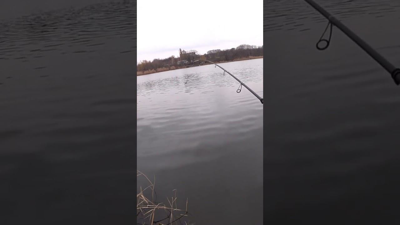 Окунь в глухозимье #рыбалка #спиннинг #джиг #shorts смотреть онлайн
