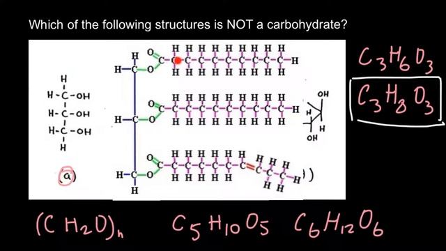 Carbohydrates Structure and Naming смотреть онлайн