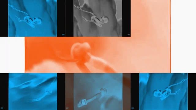 Dreamworks Animation SKG (Shark Tale Variant) In VEGAS Pro 17 Icon Major Has A Sparta Gamma Remix