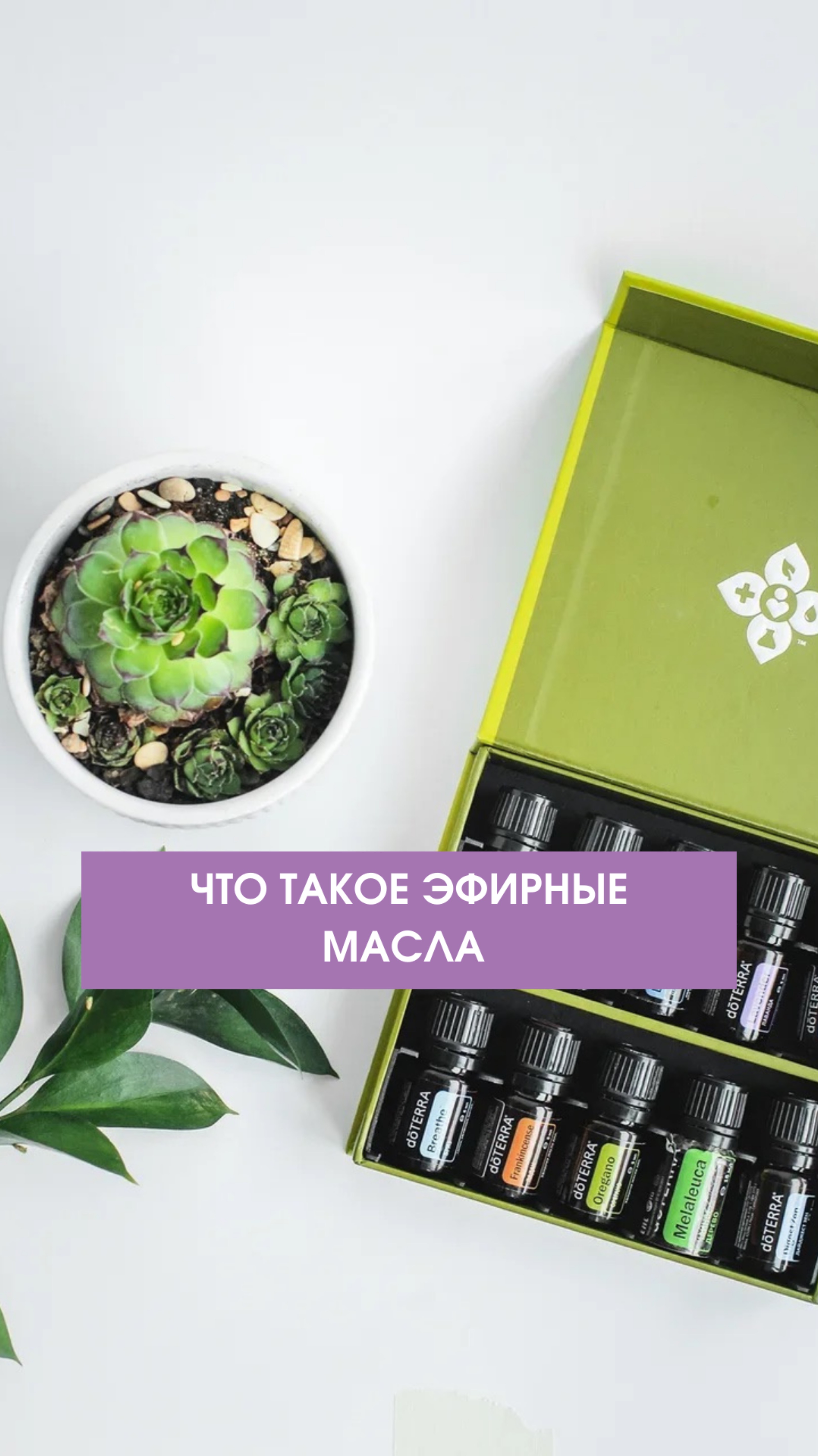 Что такое эфирные масла