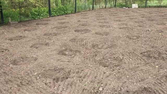 кукушка уже куковала но меня не застала врасплох...✌️☺️ смотреть онлайн