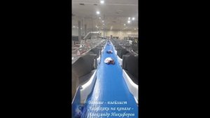 Рыбалка. Интересно по каким критериям идет сортировка