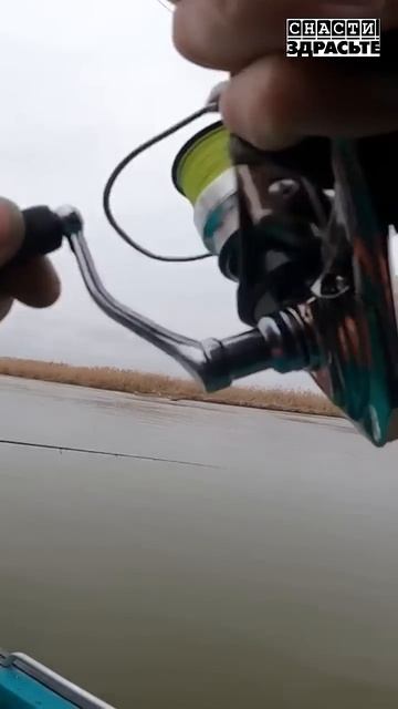 Смотрите новый выпуск о нашей поездке в Астрахань#снастиздрасьте смотреть онлайн