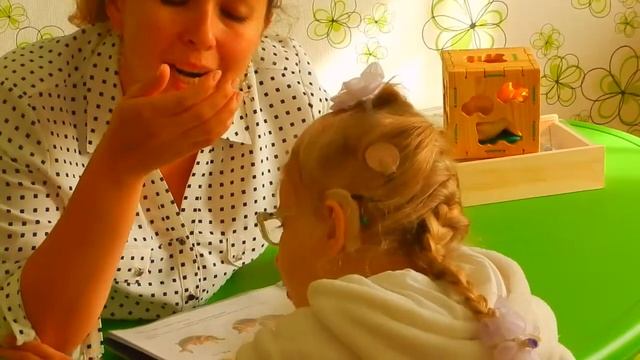 НЕГОВОРЯЩИЕ ДЕТИ: Формирование категории числа существительных смотреть онлайн