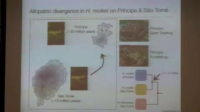 EEB Seminar Rayna Bell 1 28 15 смотреть онлайн