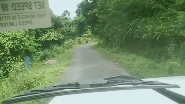 Surok donga dipet E.ange nijok Darechikgre Ramako смотреть онлайн