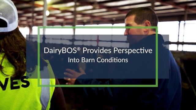 VES-Artex DairyBOS смотреть онлайн