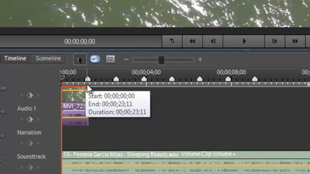 Adobe Premiere Elements - Basic editing смотреть онлайн