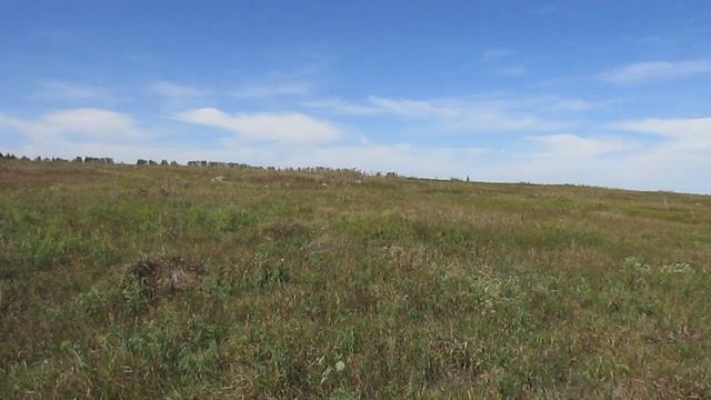 Исчезнувшая деревня Лубошино, Аткарский район.