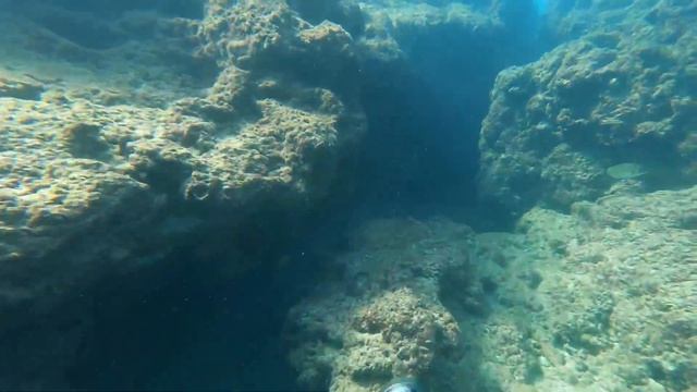 דייג בצלילה חופשית - Spearfishing Israel - Omer invictus HF 75 - November 2020 смотреть онлайн