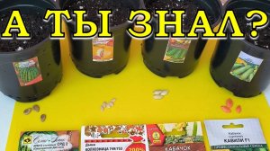 АПРЕЛЬ: сеем на рассаду ЭТИ ОВОЩИ🍅🍆🥕