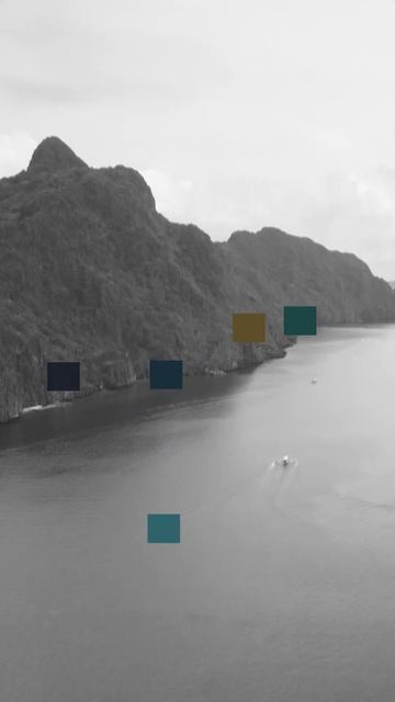 Adobe Premiere Pro Palette Color Grading #cinematic #shorts