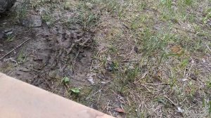 Сливаем масло с двигателя квадроцикла Sharmax Hummer 300 #sharmax #hummer #200cc #квадроцикл