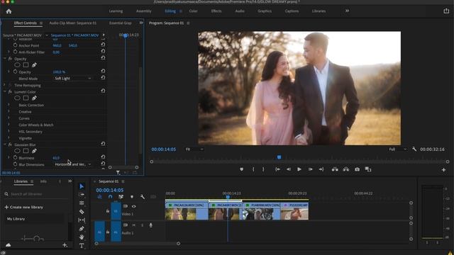 CARA BIKIN EFEK GLOW DREAMY / NOSTALGIA Di ADOBE PREMIERE PRO