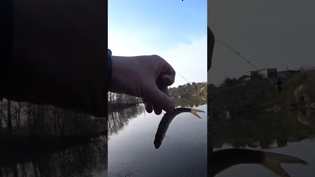 А у вас было? #рыбалка #fishing #щука #shorts смотреть онлайн