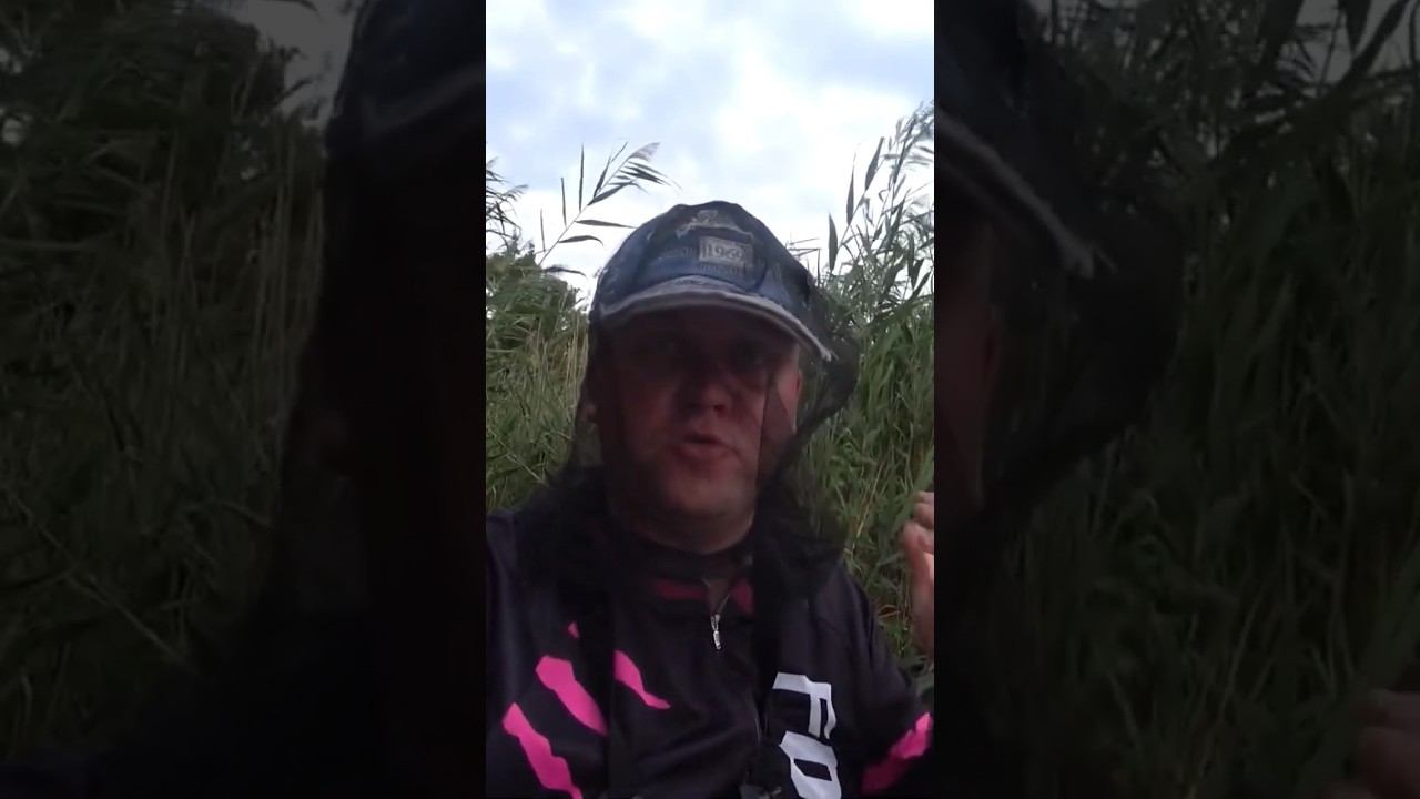 Как защититься от комаров? #рыбалка #fishing #комар #shorts смотреть онлайн