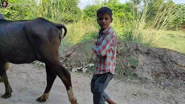 Indigenous Life Of Man In India! || Rural Life in India UP || Farmer Life In India UP смотреть онлайн