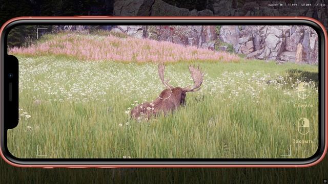 Сердце Алтая захватывающая история о приключениях блогера