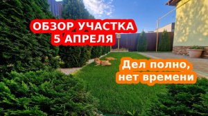 Первый весенний обзор участка 2025: что успели, что планируем