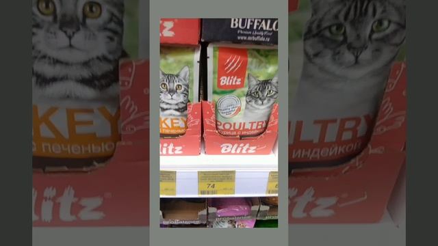 Обзор кошачьего корма с мяуканьем. Релакс.