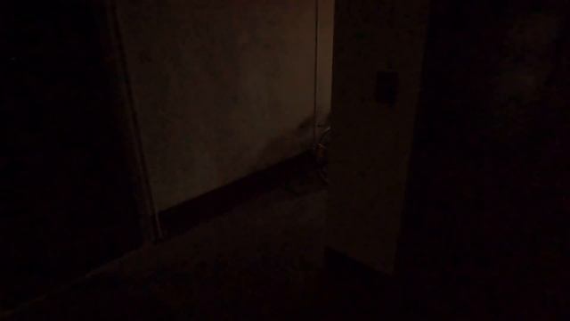 Лифт МЛЗ 400 кг 0,71 м/с смотреть онлайн