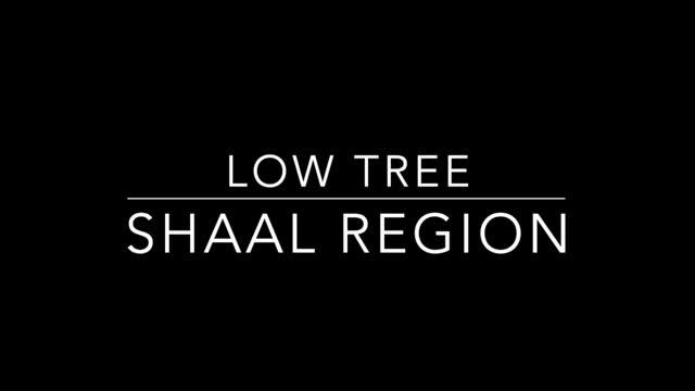 Low Tree - Shaal Region смотреть онлайн