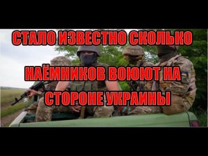 СКОЛЬКО НАЁМНИКОВ В УКРАИНИ СТАЛО ИЗВЕСТНО