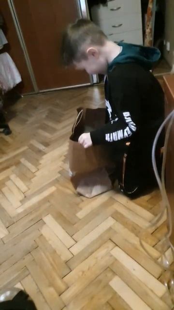Кошка захватила деньги. #кошки #юмор #питомцы #деньги #подпишись смотреть онлайн