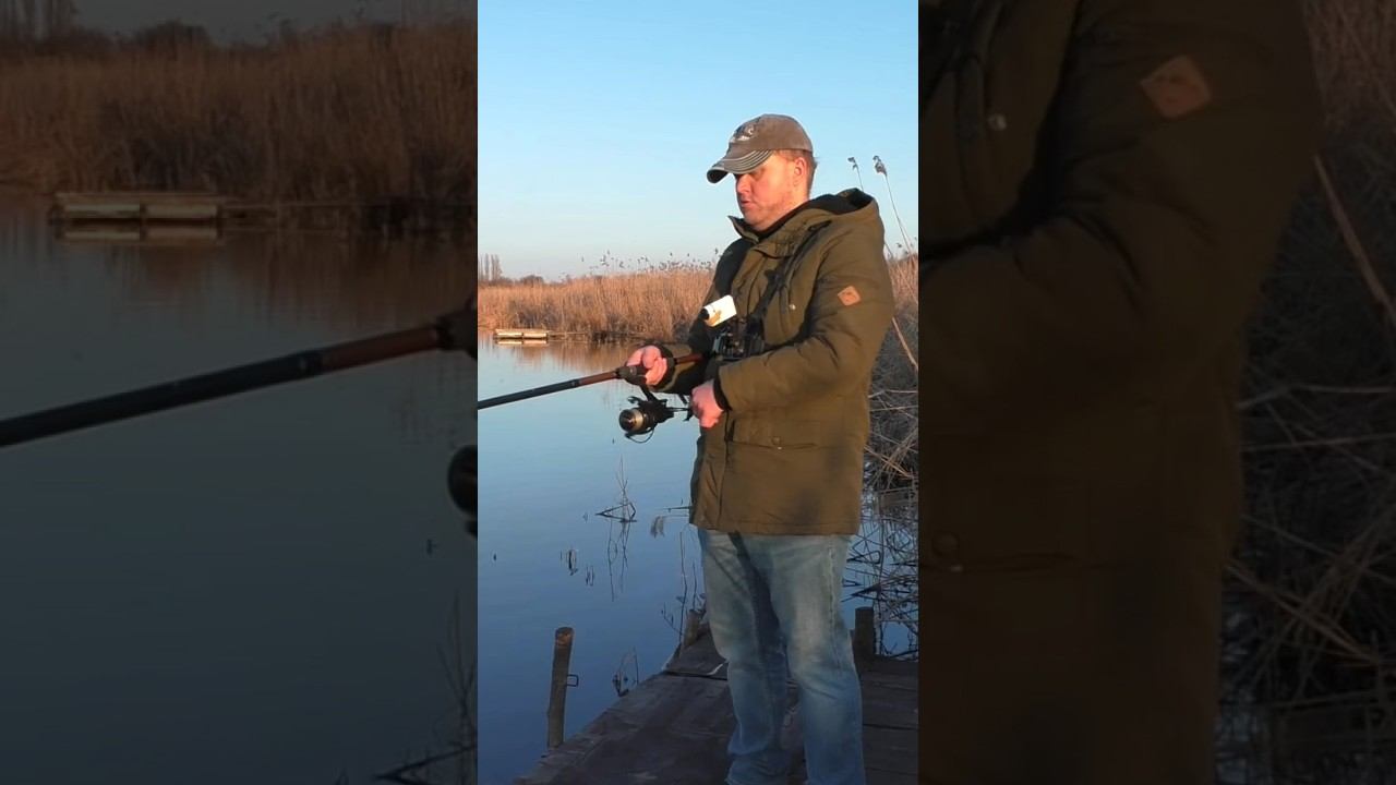 Тест бюджетного карповика #рыбалка #карповаяловля #карпфишинг #shorts смотреть онлайн