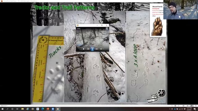 National Park Service: Introduction to Wildlife Tracking Workshop смотреть онлайн