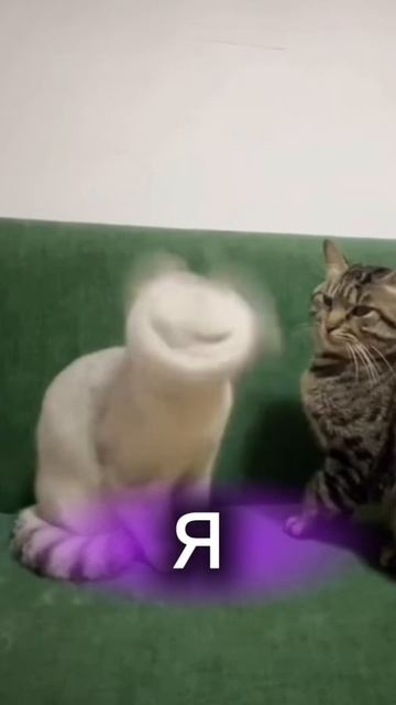 Ну что за вопросы... смотреть онлайн