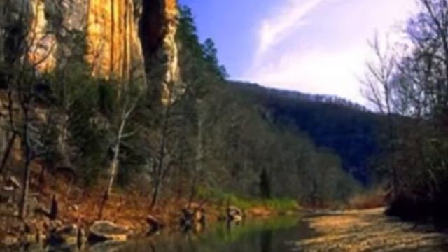 Festa della Donna смотреть онлайн