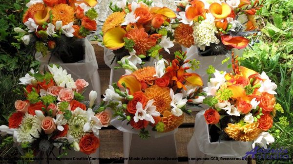 ❤ ❤ ❤ Песня, которая рассказывает историю - Uplifting Tunes -- butterflystudio -- Happy Songs Collec