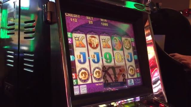 Geisha/Indian Princess side by side JACKPOT HANDPAY!! HIGH LIMIT HANDPAY смотреть онлайн