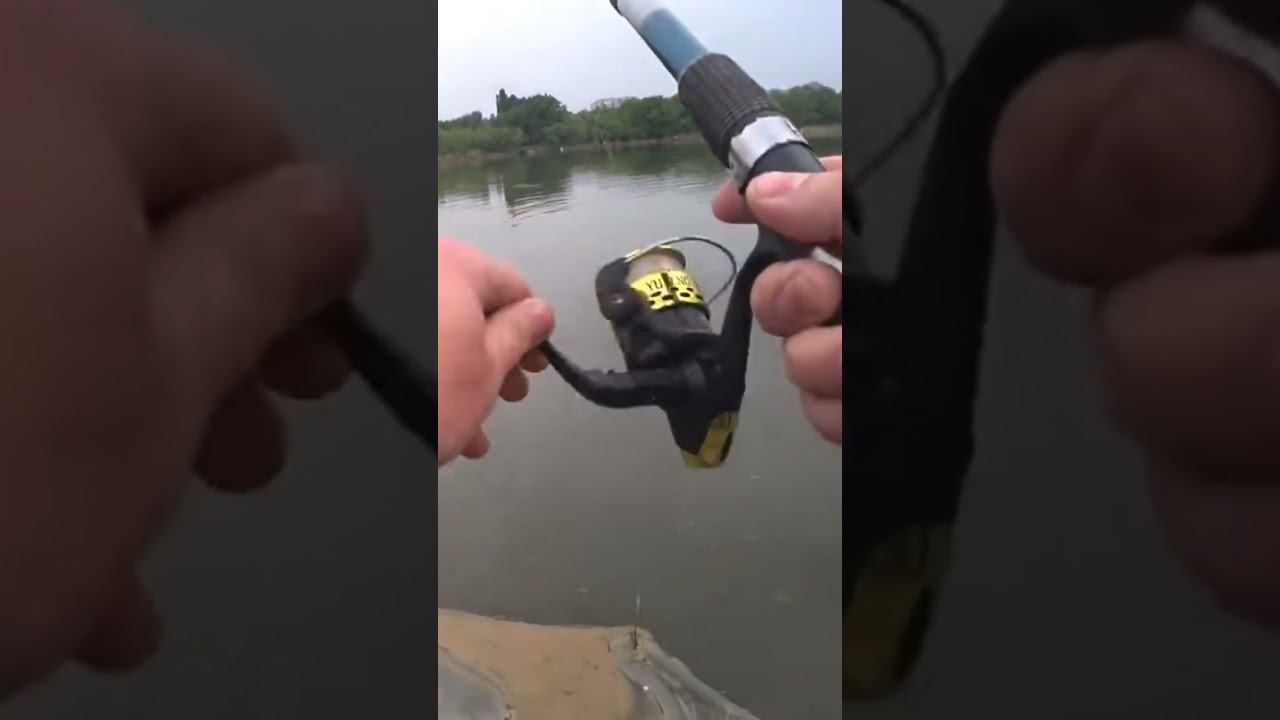 Дешёвая удочка VS сазан #рыбалка #shorts смотреть онлайн
