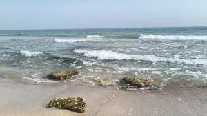 Как сегодня на море...