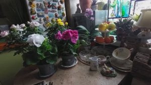 покупки с барахолки 30.03.2025. Рената Смирнова. 2025