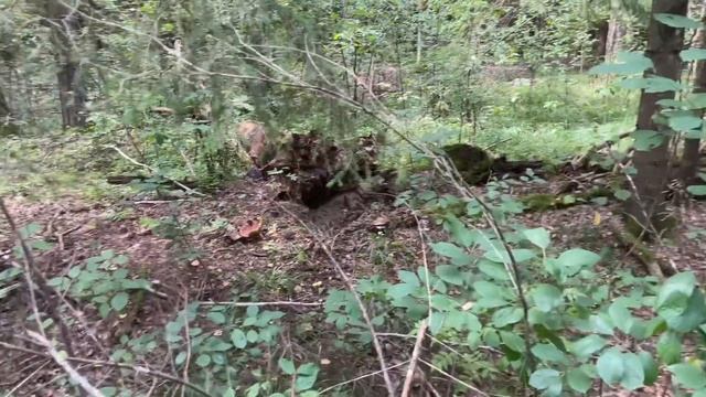 НЕ СТАЛО ВНУКА БАБЫ ГАЛИ ДЕНИСА. смотреть онлайн