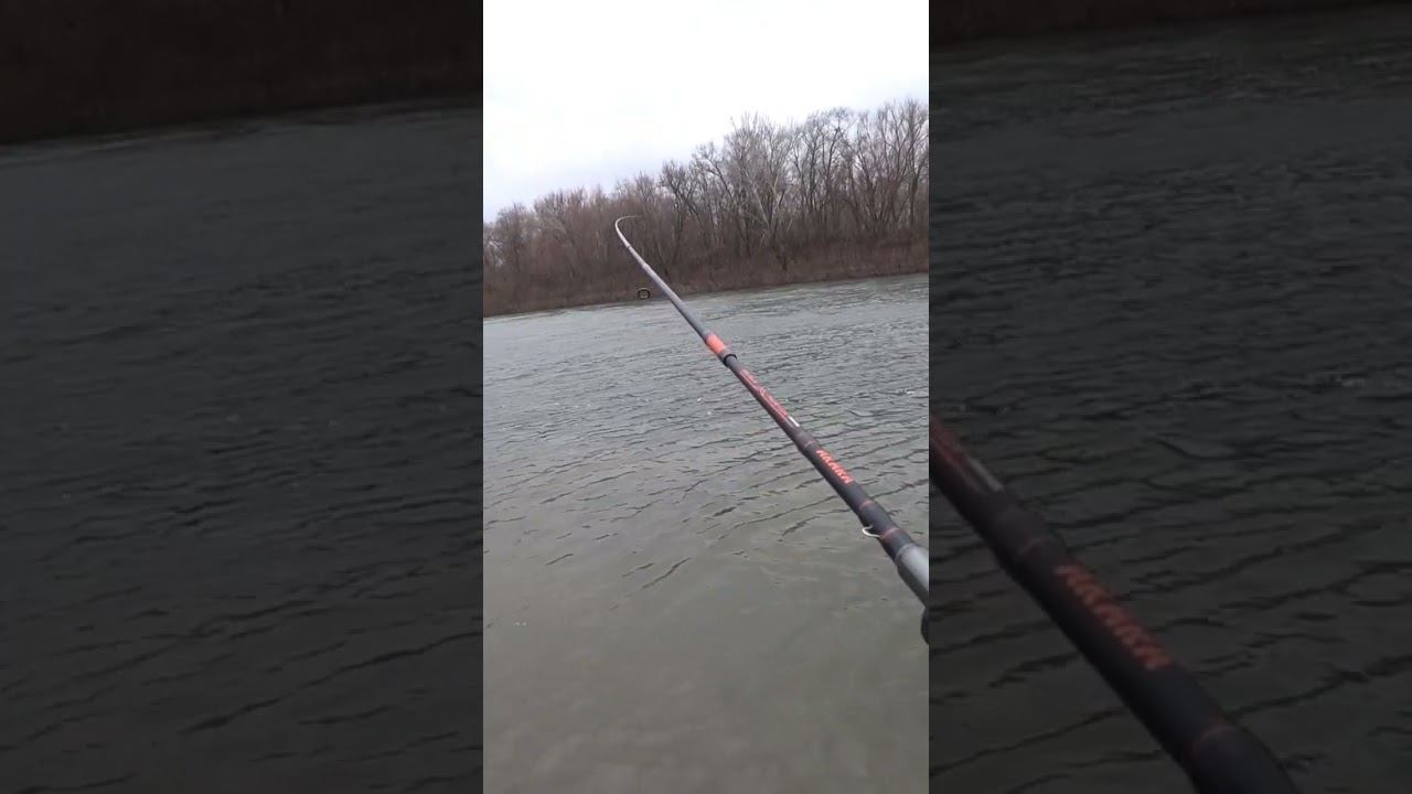 Сколько нас больных рыбалкой? #рыбалка #спиннинг #джиг #shorts смотреть онлайн