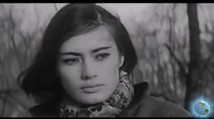 Ai-306 – Я сегодня прольюсь дождём