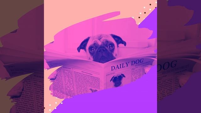 Звуки (Дрессировка собак) смотреть онлайн