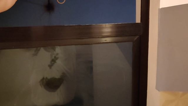 18sqm Modern House with Loft | High Ceiling House | Advantage Of High Ceiling House смотреть онлайн