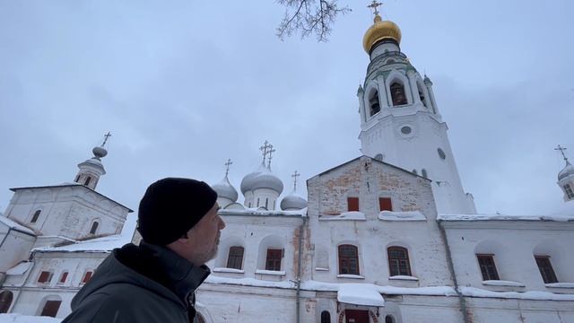 Скворцы везде - Вологда